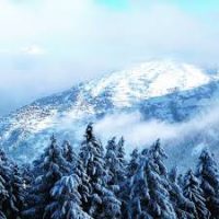 Варс Ризул - Форе Бланш