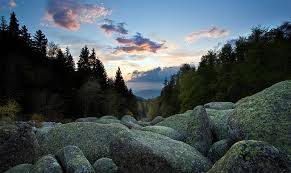 ���������������� ������ - �������