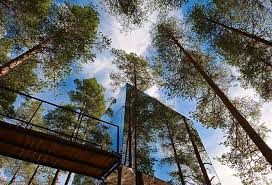 Treehotel, ,   
