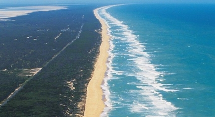 Ninety Mile Beach