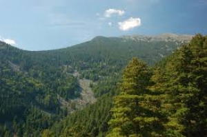 Planina  