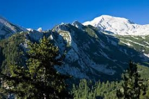 Planina  
