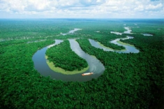 Амазонската дъждовна гора