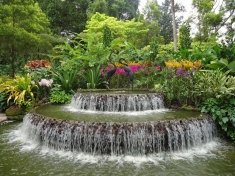 Ботаническата градина с орхидеите