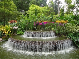 сингапур Ботаническата градина с орхидеите
