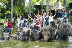 Слонския сафари парк в Таро e най-хубавият в света