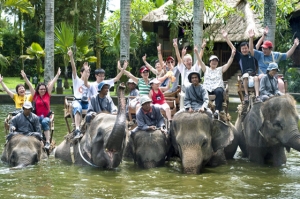 Слонския сафари парк в Таро e най-хубавият в света